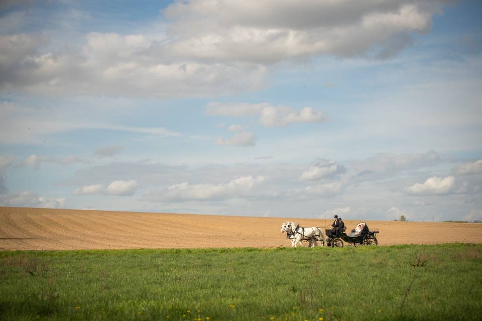 Musée du cheval (Oise)