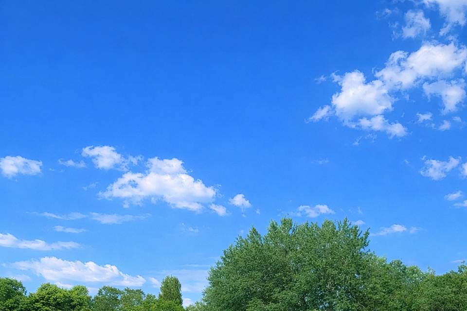 Parc à la Française