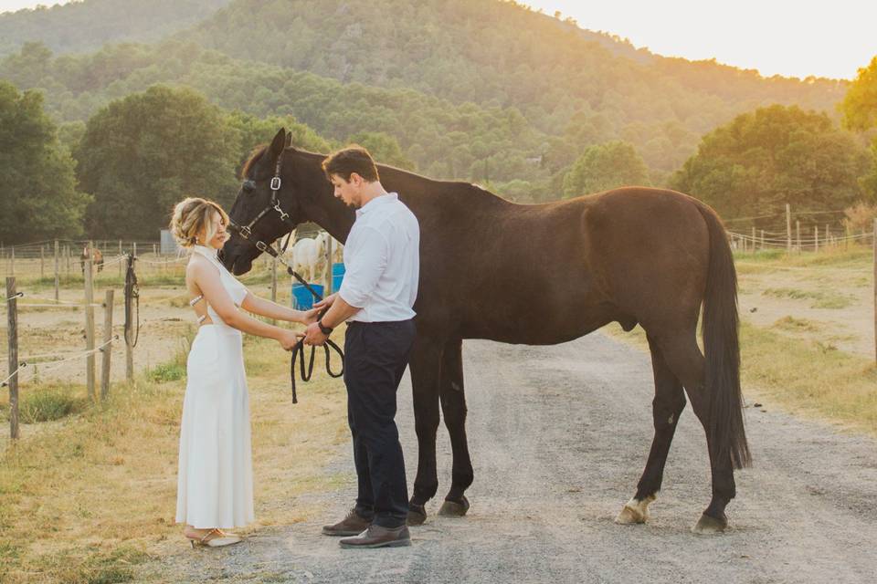 Editorial wedding