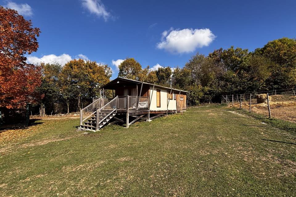 Lodge