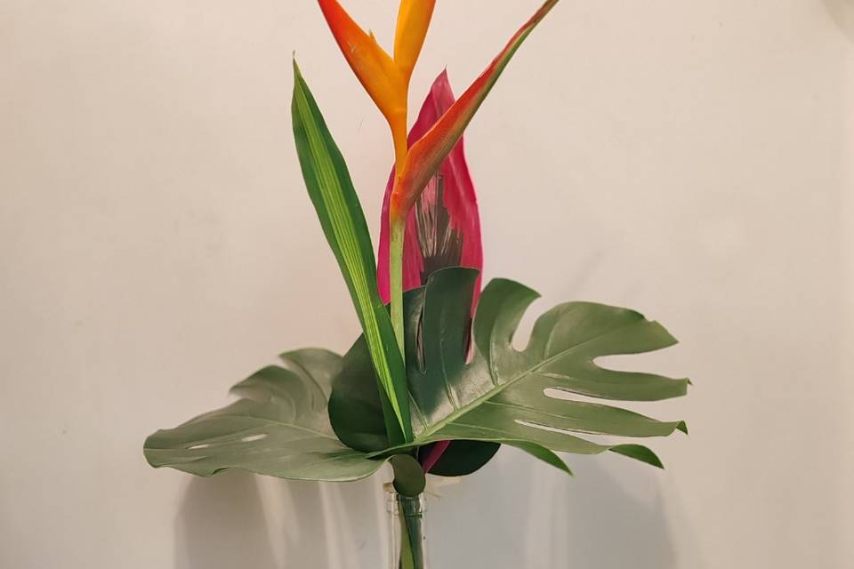 Tropical
