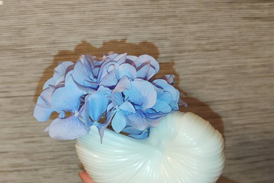 Cire et hortensia