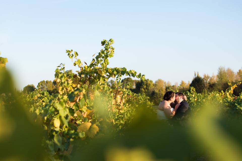 Trash the dress