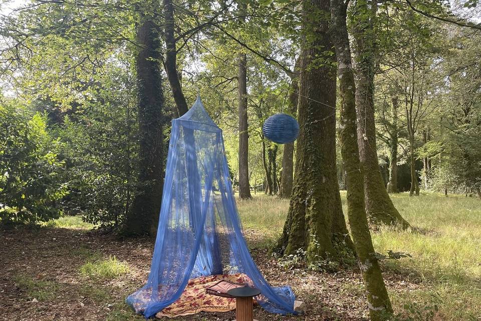 Décoration dans forêt