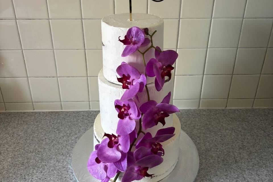 Orchidée violeete