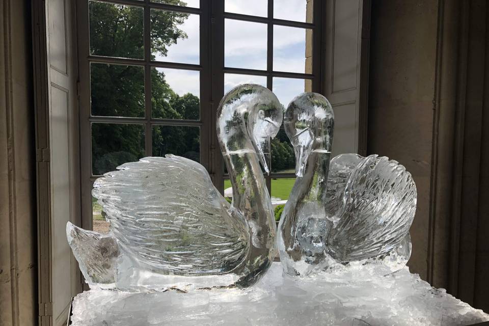 Ice & Art