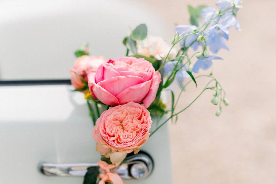 Les Mauvaises Herbes / Bdx