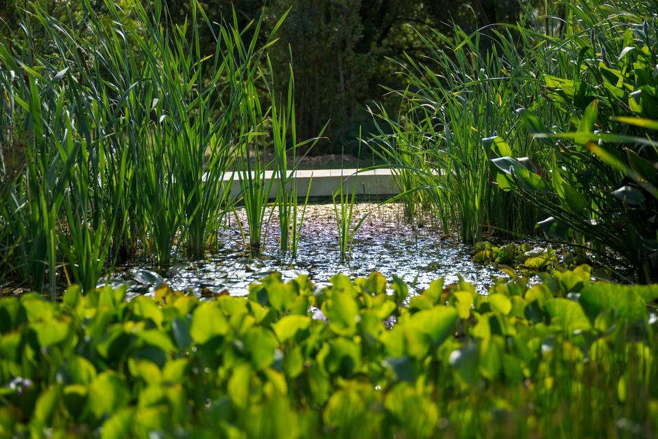 Fontaine source naturelle