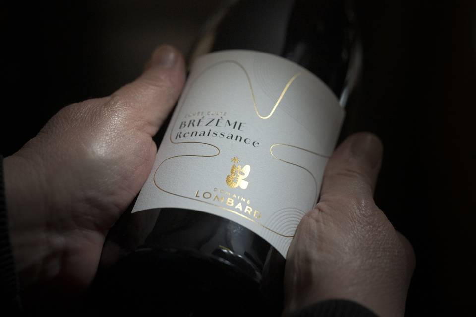 Découvrez les vins du domaine