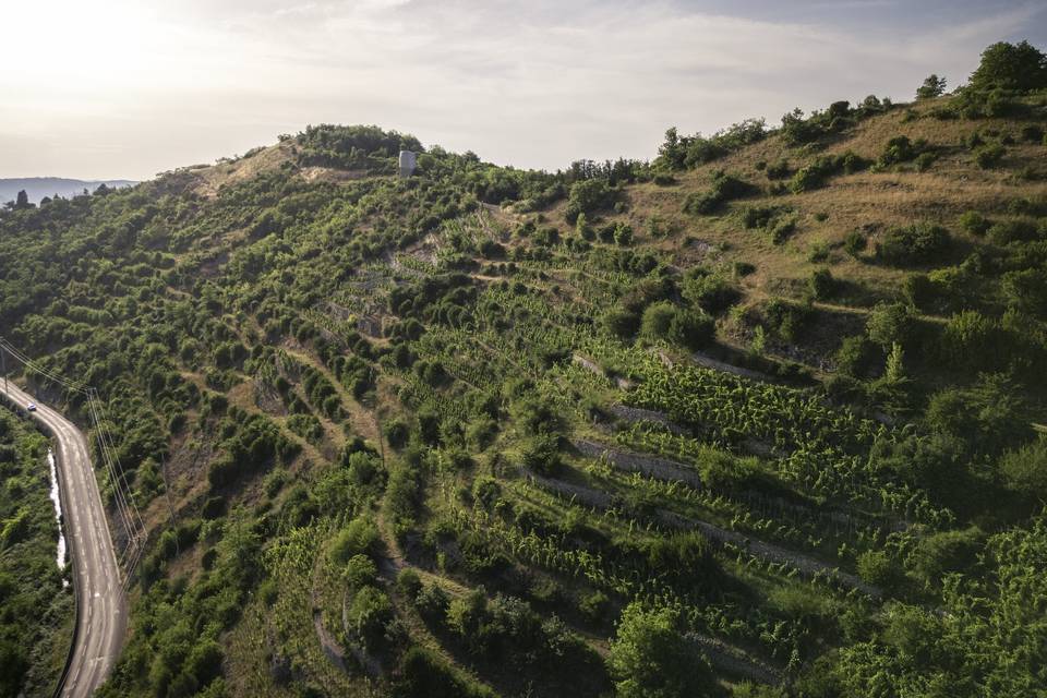 Les coteaux de Brézème