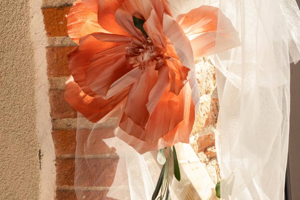 Mariage Toulouse Occitanie