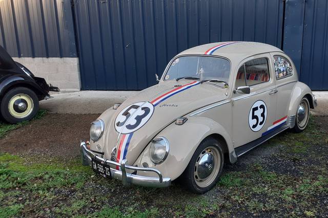 Cox 1300 1965 choupette