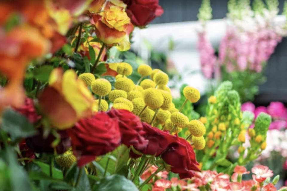 Au Jardin de Céline