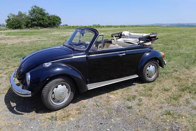 Location coccinelle cabriolet