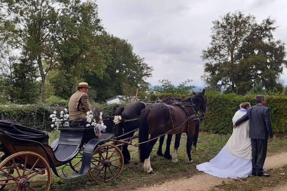 Les écuries de l'Arche du Tertre