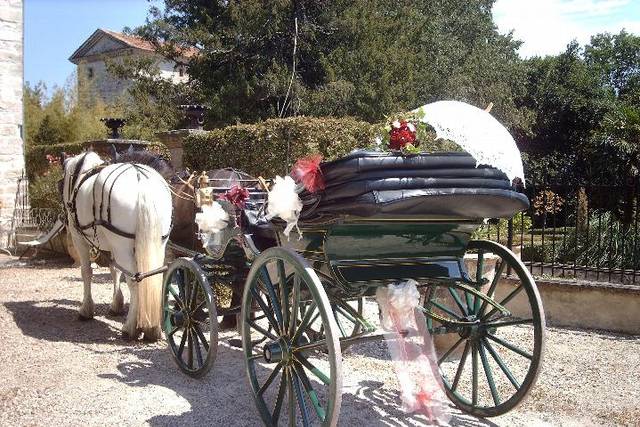 Calèche ombrelle