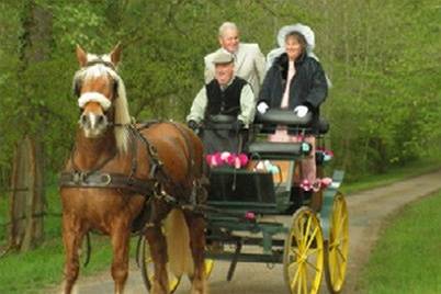 Excursion Galop Vert