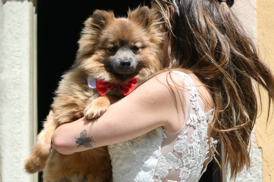 Loyal and Lovely