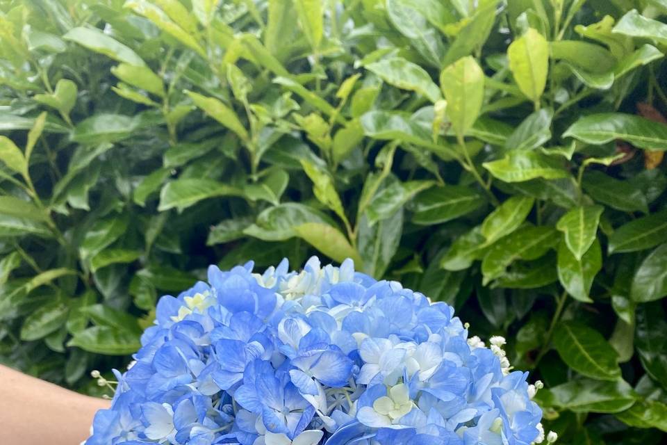 Bouquet mariée