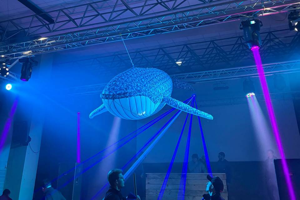 Mise en lumière pour savignac