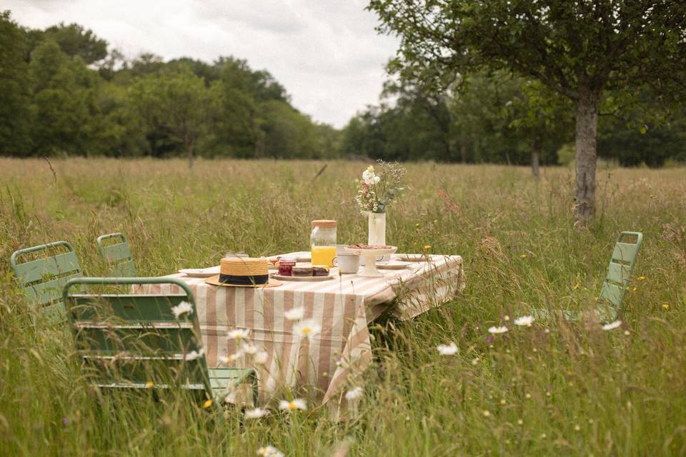 Jardin sur forêt