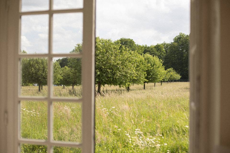 Jardin sur verger