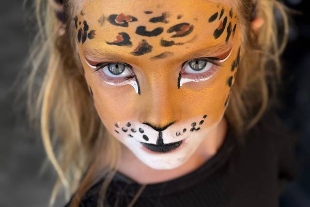 Maquillage-enfant-mauguio