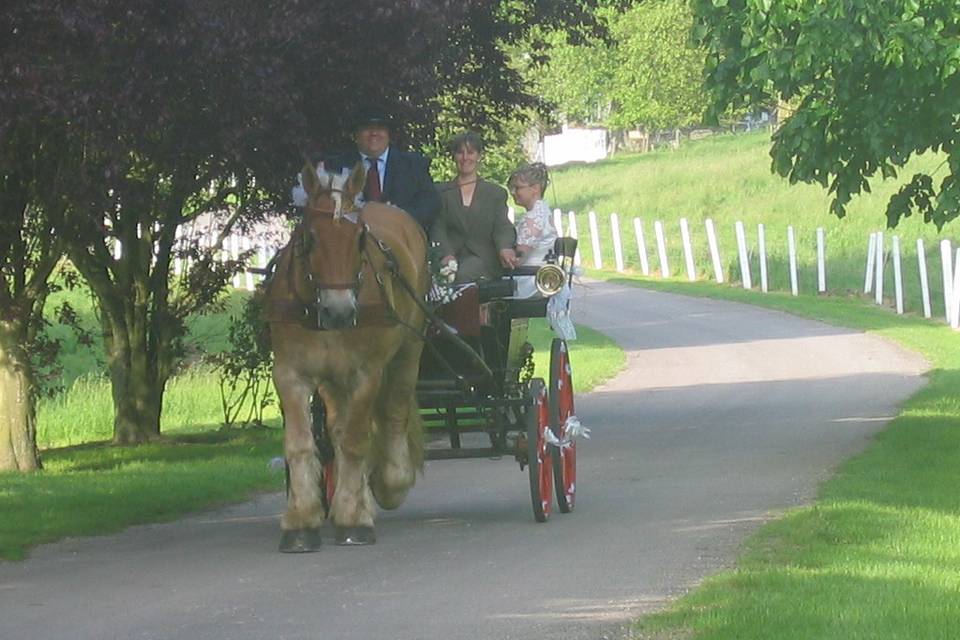 Arrivée en calèche