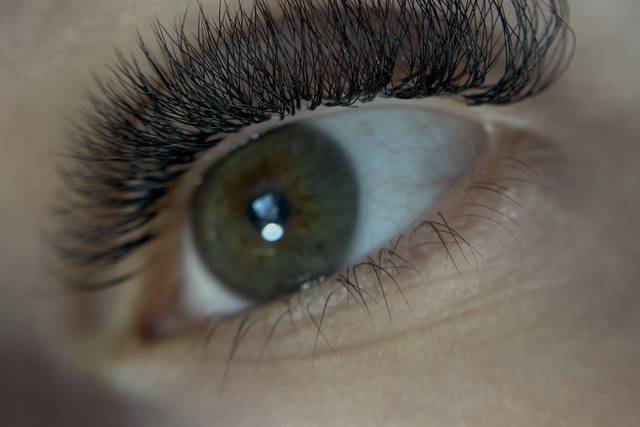 Cils