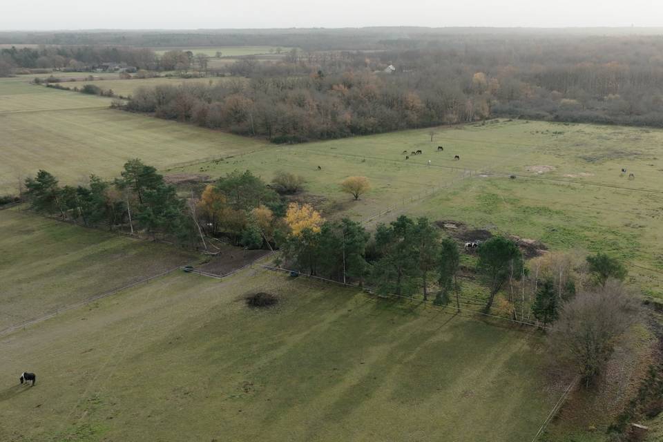 Gîte Ranch de Sologne