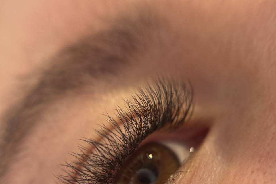 Cils