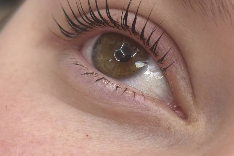 Lashlift