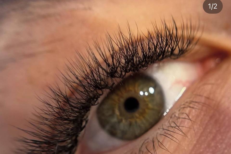 Cils