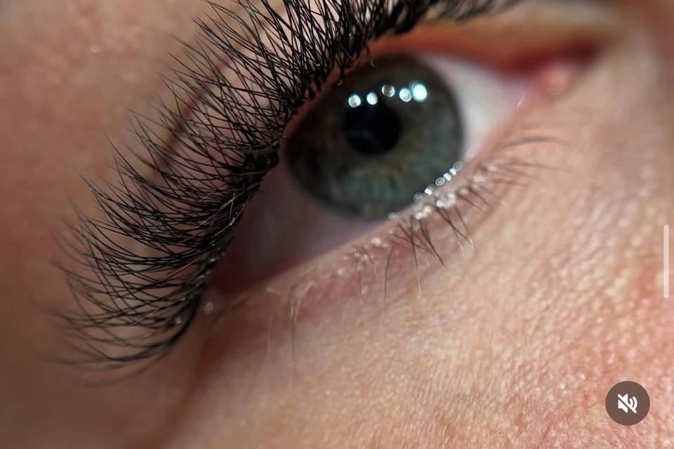 Cils