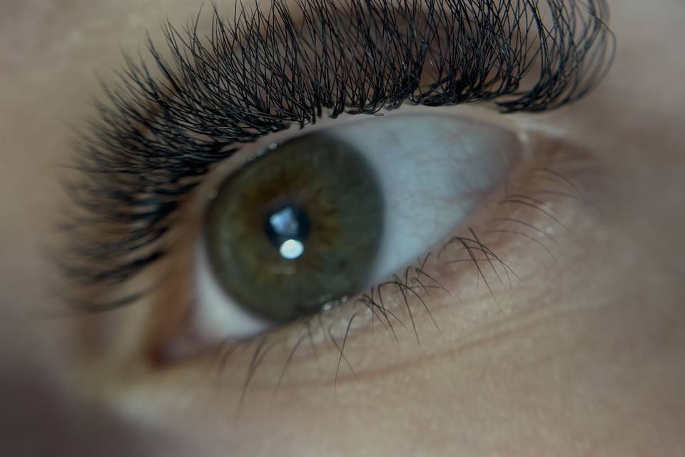 Cils