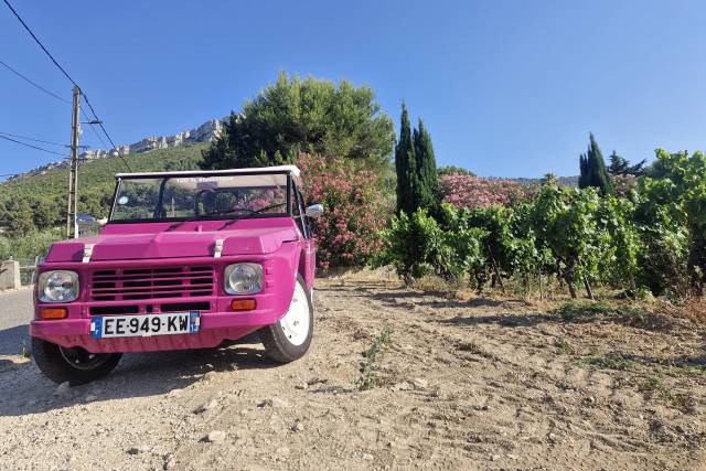 Méhari Grenache Trolib