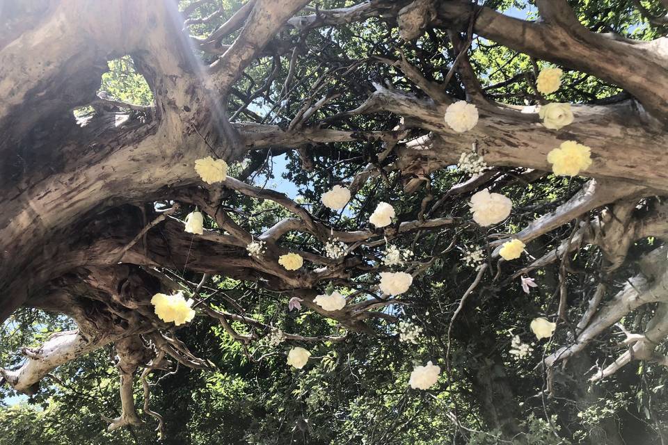 Ciel fleurs cérémonie laïque