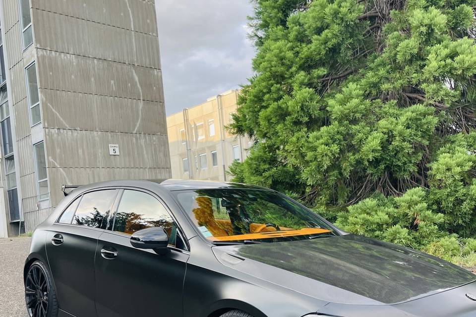 Optima Rental