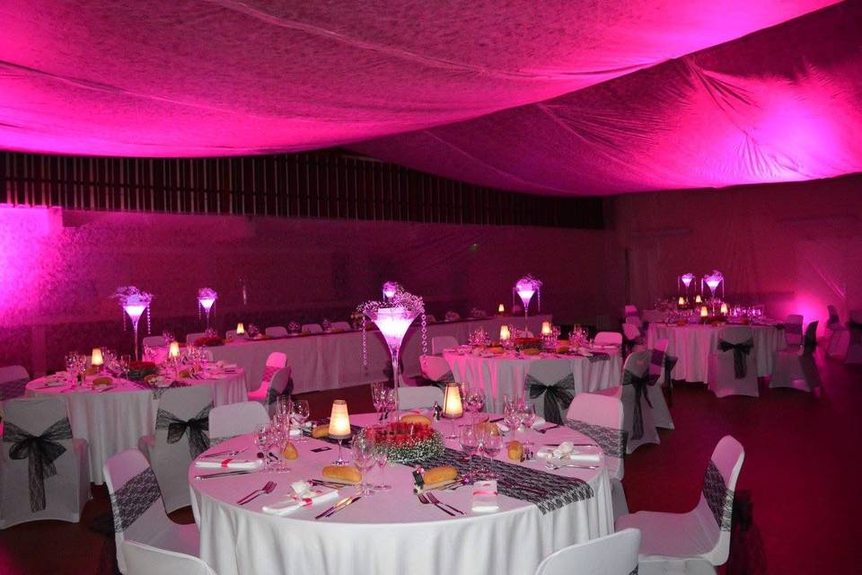 Sonia Wedding Designer & Planner