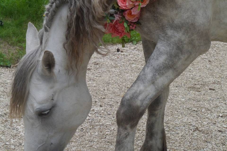 Cheval fleuri