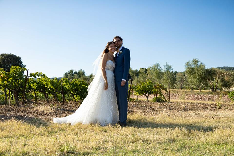 Complicité