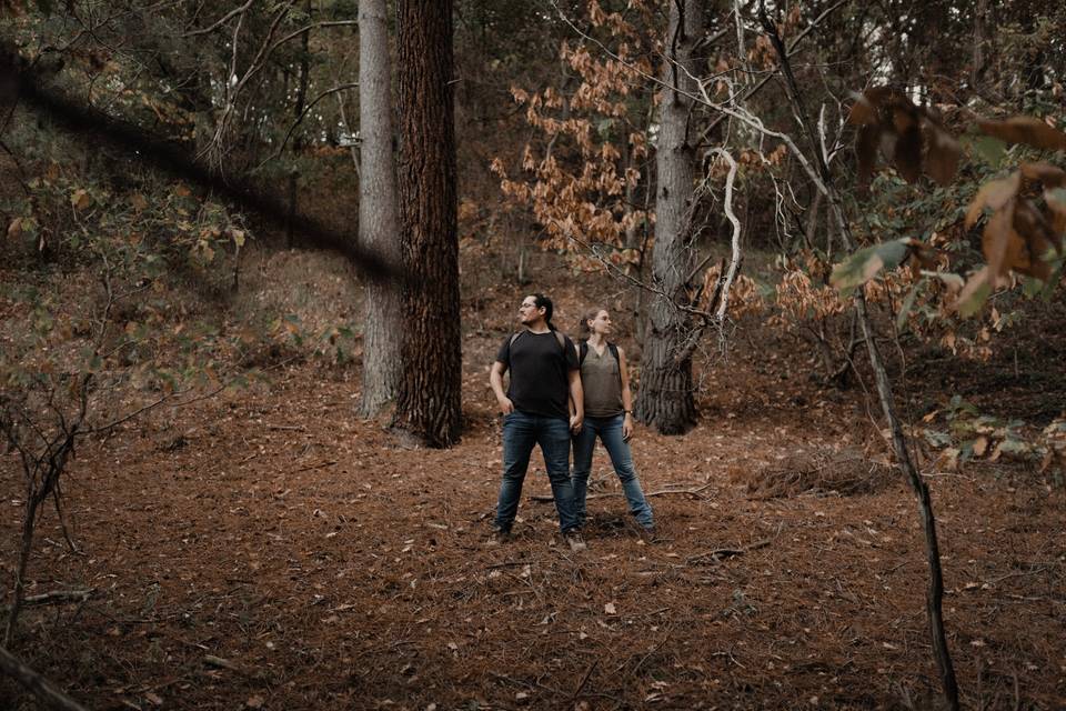 Séance d'engagement en forêt