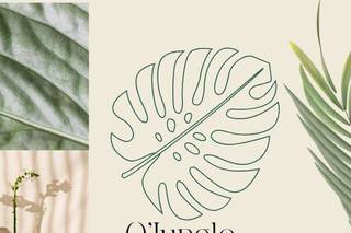 O'jungle Institut