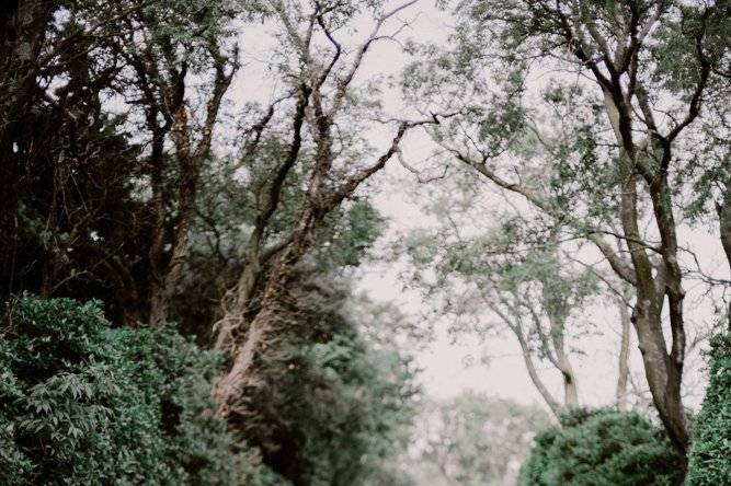 Couple mariage provence