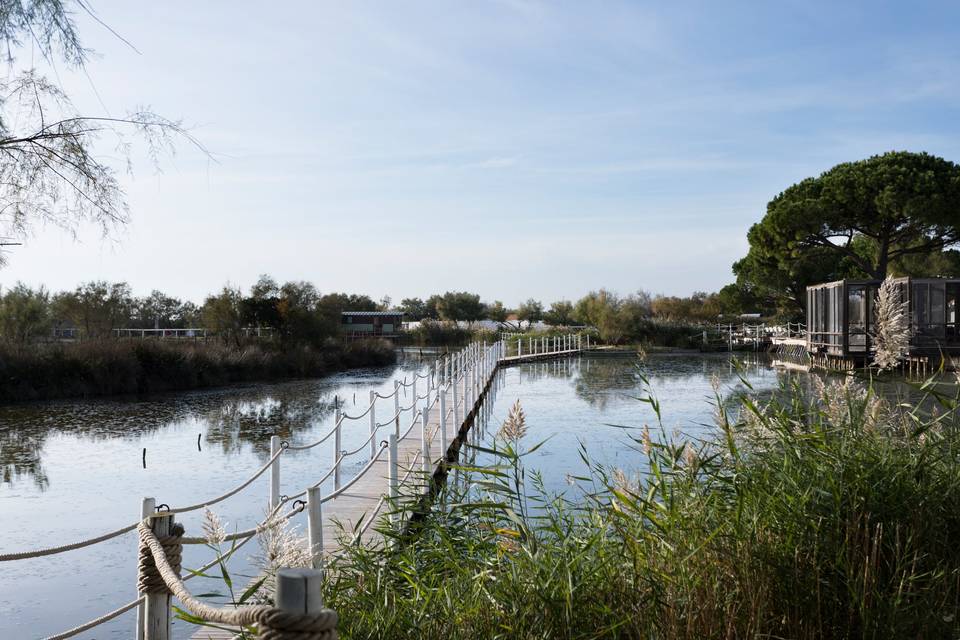 Vue Mas de la Fouque