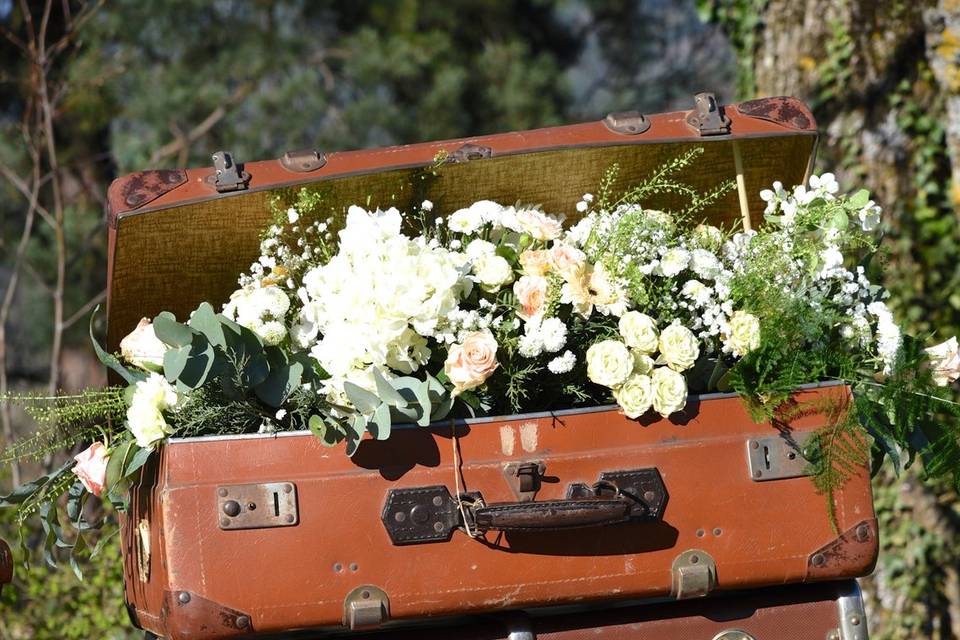 Valises et Machine à écrire