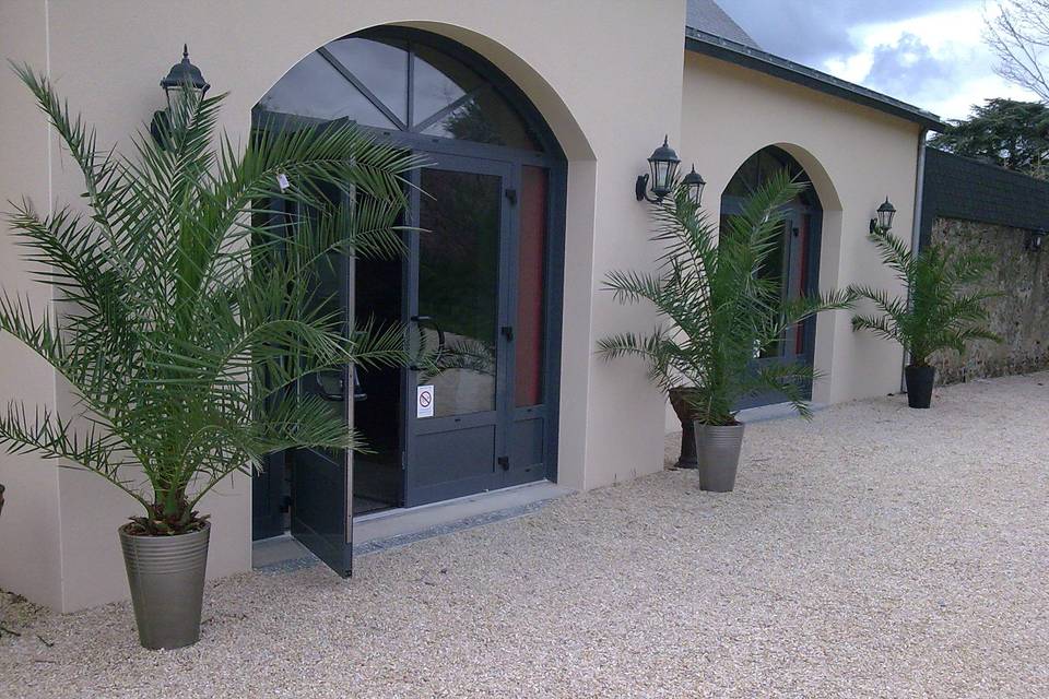 Location phoenix canariensis