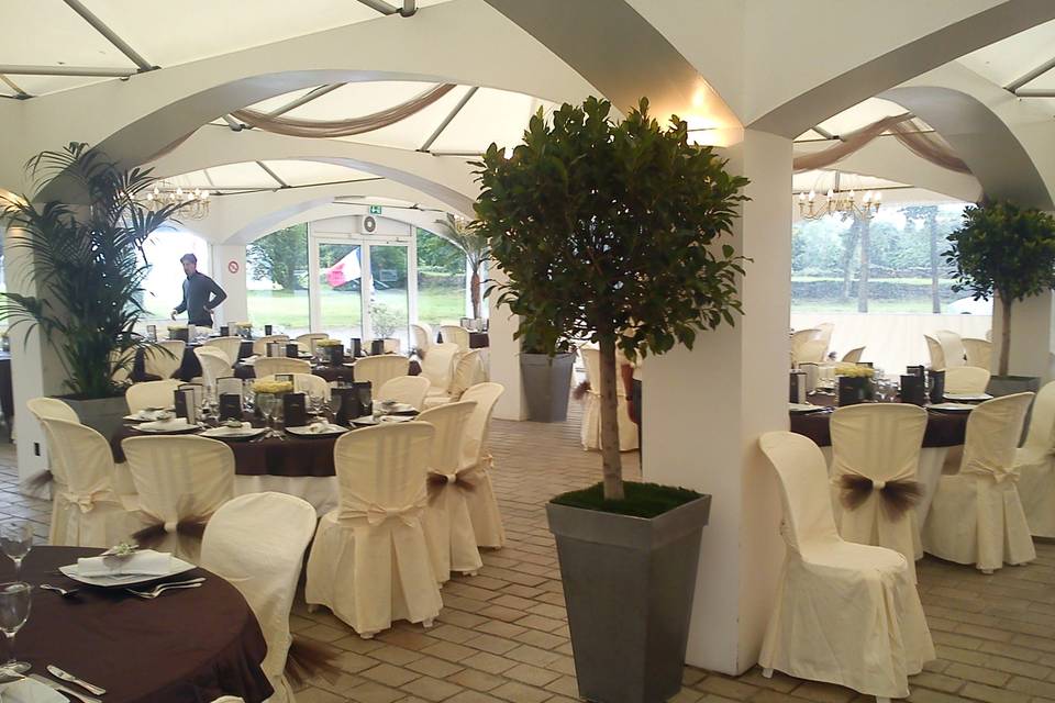 Location plantes mariage