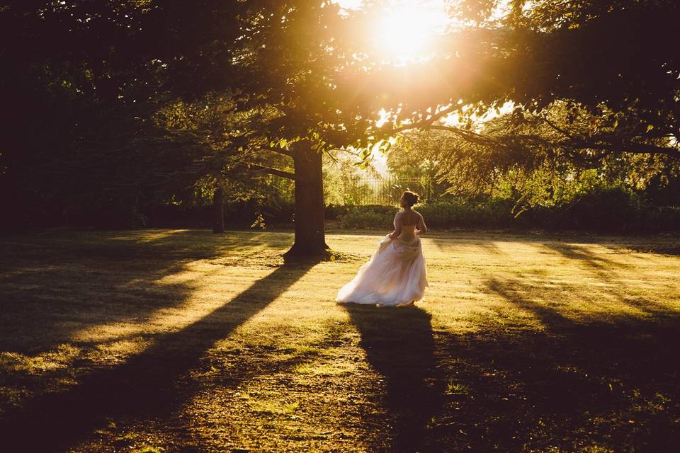 Dragon Fly Wedding Photography