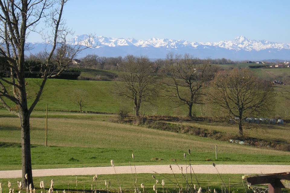 Vue Pyrénées